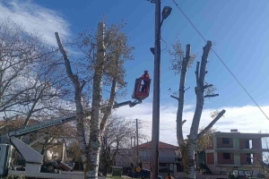 Ολοκλήρωση έκτακτων εργασιών κοπής και κλαδέματος επικίνδυνων δέντρων στον Δήμο Λαγκαδά