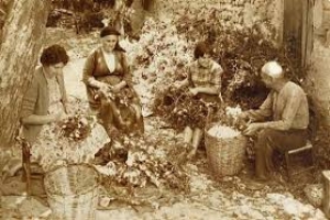 "Η ΣΗΡΟΤΡΟΦΙΑ ΣΤΟΝ ΠΑΛΙΟ ΛΑΓΚΑΔΑ" του Δημήτρη Χορόσκελη