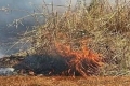 Συνελήφθη 51χρονος για τη φωτιά στο Δερβένι – Κατηγορείται ότι την προκάλεσε ενώ έκανε εργασίες με καταστροφέα