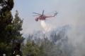 Φωτιά σε δασική έκταση στο Καλαμωτό-Στη «μάχη» και ελικόπτερο