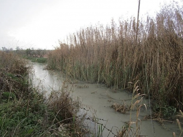 &rho;&epsilon;&mu;ά&tau;&omega;&nu; &Theta;&epsilon;&sigma;&sigma;&alpha;&lambda;&omicron;&nu;ί&kappa;&eta;&sigmaf;