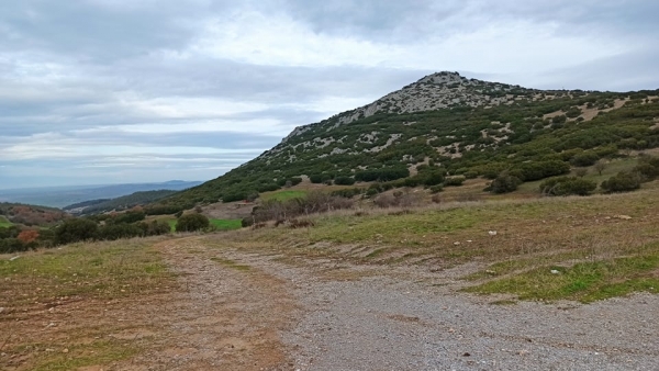 Μυγδονία