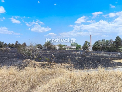 &Phi;&Omega;&Tau;&Iota;&Alpha; &Lambda;&Alpha;&Gamma;&Kappa;&Alpha;&Delta;&Alpha;&Sigma;