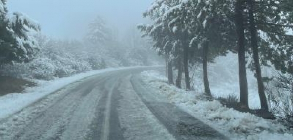 &chi;&iota;ό&nu;&iota;&alpha; &Kappa;&omicron;&iota;&nu;ό&tau;&eta;&tau;&alpha; &Pi;&epsilon;&tau;&rho;&omicron;&kappa;&epsilon;&rho;ά&sigma;&omega;&nu;