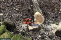 &Sigma;&tau;&eta; &phi;&upsilon;&lambda;&alpha;&kappa;ή &mu;&epsilon; 6&epsilon;&tau;ή &kappa;ά&theta;&epsilon;&iota;&rho;&xi;&eta; 63&chi;&rho;&omicron;&nu;&omicron;&sigmaf; &gamma;&iota;&alpha; &tau;&omicron;&nu; &theta;ά&nu;&alpha;&tau;&omicron; &epsilon;&rho;&gamma;ά&tau;&eta; &sigma;&epsilon; &pi;&alpha;&rho;ά&nu;&omicron;&mu;&eta; &upsilon;&lambda;&omicron;&tau;&omicron;&mu;ί&alpha; &sigma;&tau;&eta;&nu; &Alpha;&rho;&epsilon;&theta;&omicron;ύ&sigma;&alpha;