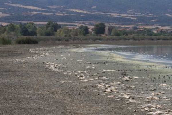 &Lambda;&Iota;&Mu;&Nu;&Eta; &Kappa;&Omicron;&Rho;&Omega;&Nu;&Epsilon;&Iota;&Alpha;
