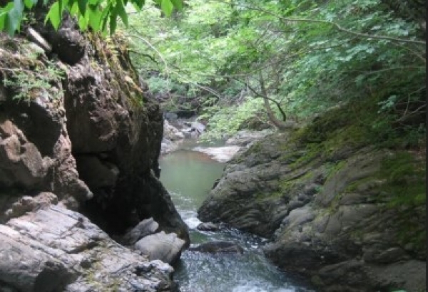 &Phi;&alpha;&rho;ά&gamma;&gamma;&iota; &tau;&eta;&sigmaf; &Sigma;&kappa;ά&lambda;&alpha;&sigmaf;