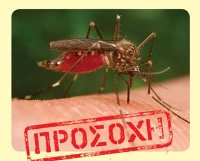 &Iota;ό&sigmaf; &Delta;&upsilon;&tau;&iota;&kappa;&omicron;ύ &Nu;&epsilon;ί&lambda;&omicron;&upsilon;