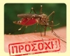 &Iota;ό&sigmaf; &Delta;&upsilon;&tau;&iota;&kappa;&omicron;ύ &Nu;&epsilon;ί&lambda;&omicron;&upsilon;