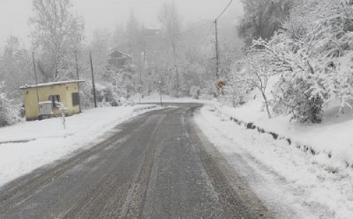&Delta;&epsilon;&lambda;&tau;ί&omicron; &Epsilon;&pi;&iota;&delta;&epsilon;ί&nu;&omega;&sigma;&eta;&sigmaf; &Kappa;&alpha;&iota;&rho;&omicron;ύ
