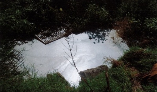 ΛΥΜΑΤΑ ΚΟΡΩΝΕΙΑ