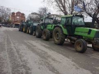 &Omicron;&Iota; &Alpha;&Gamma;&Rho;&Omicron;&Tau;&Epsilon;&Sigma; &Tau;&Omicron;&Upsilon; &Delta;&Eta;&Mu;&Omicron;&Upsilon; &Lambda;&Alpha;&Gamma;&Kappa;&Alpha;&Delta;&Alpha; &Pi;&Alpha;&Rho;&Epsilon;&Tau;&Alpha;&Xi;&Alpha;&Nu; &Tau;&Alpha; &Tau;&Rho;&Alpha;&Kappa;&Tau;&Epsilon;&Rho; &Sigma;&Tau;&Eta;&Nu; &Kappa;&Epsilon;&Nu;&Tau;&Rho;&Iota;&Kappa;&Eta; &Pi;&Lambda;&Alpha;&Tau;&Epsilon;&Iota;&Alpha; &Tau;&Eta;&Sigma; &Pi;&Omicron;&Lambda;&Eta;&Sigma;