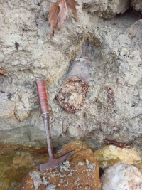 &Alpha;&pi;&omicron;&lambda;&iota;&theta;&omega;&mu;έ&nu;&omicron;&sigmaf; &chi;&alpha;&upsilon;&lambda;&iota;ό&delta;&omicron;&nu;&tau;&alpha;&sigmaf; &alpha;&pi;ό &Mu;&alpha;&mu;&omicron;ύ&theta; &tau;&omicron;&upsilon; &Nu;ό&tau;&omicron;&upsilon;, &epsilon;&nu;&tau;&omicron;&pi;ί&sigma;&tau;&eta;&kappa;&epsilon; &sigma;&tau;&alpha; &Nu;. &Kappa;&alpha;&lambda;ί&nu;&delta;&omicron;&iota;&alpha; (&Kappa;&alpha;&lambda;&alpha;&mu;&omega;&tau;ό)