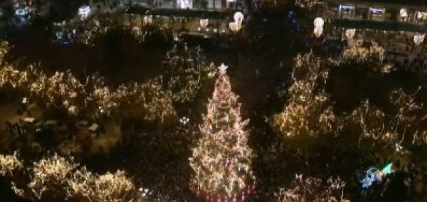 ΧΡΙΣΤΟΥΓΕΝΝΙΑΤΙΚΟ ΔΕΝΤΡΟ ΛΑΧΑΝΑΣ