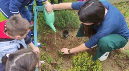 &mu;&alpha;&theta;&eta;&tau;έ&sigmaf; &phi;&upsilon;&tau;&epsilon;ύ&omicron;&upsilon;&nu; &lambda;&omicron;&upsilon;&lambda;&omicron;ύ&delta;&iota;&alpha; &sigma;&tau;&omicron; &pi;&rho;&omicron;&alpha;ύ&lambda;&iota;&omicron;