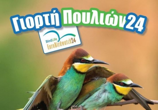 &Gamma;&iota;&omicron;&rho;&tau;ή &Pi;&omicron;&upsilon;&lambda;&iota;ώ&nu;