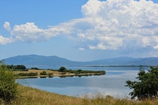 &Nu;&epsilon;&kappa;&rho;ό&sigmaf; &lambda;ί&mu;&nu;&eta; &Beta;ό&lambda;&beta;&eta;