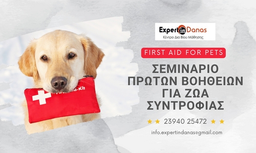 Σεμινάριο πρώτων βοηθειών για ζώα συντροφιάς