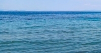 &Tau;&Rho;&Alpha;&Upsilon;&Mu;&Alpha;&Tau;&Iota;&Sigma;&Mu;&Omicron;&Sigma; &Gamma;&Upsilon;&Nu;&Alpha;&Iota;&Kappa;&Alpha;&Sigma; &Pi;&Alpha;&Rho;&Alpha;&Lambda;&Iota;&Alpha; &Sigma;&Tau;&Alpha;&Upsilon;&Rho;&Omicron;&Upsilon;