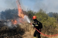 &phi;&omega;&tau;&iota;ά &sigma;&tau;&omicron;&nu; &Mu;&epsilon;&lambda;&iota;&sigma;&sigma;&omicron;&upsilon;&rho;&gamma;ό
