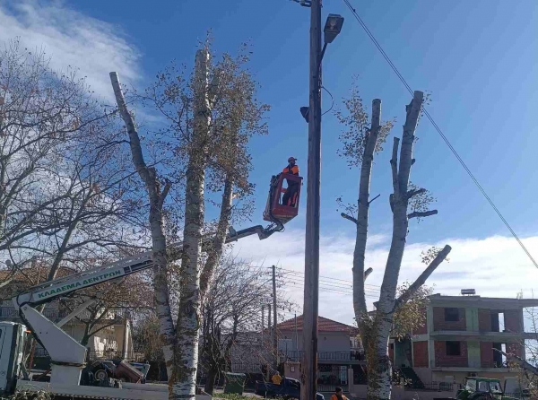 &kappa;&lambda;&alpha;&delta;έ&mu;&alpha;&tau;&omicron;&sigmaf; &delta;έ&nu;&tau;&rho;&omega;&nu;