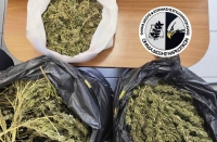 Χειροπέδες σε 49χρονο για κατοχή και καλλιέργεια κάνναβης στη περιοχή Λαγκαδά