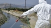 &Kappa;&alpha;&tau;&alpha;&pi;&omicron;&lambda;έ&mu;&eta;&sigma;&eta; &kappa;&omicron;&upsilon;&nu;&omicron;&upsilon;&pi;&iota;ώ&nu;