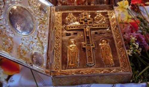 &Tau;ί&mu;&iota;&omicron; &Xi;ύ&lambda;&omicron; &Pi;&epsilon;&tau;&rho;&omicron;&kappa;έ&rho;&alpha;&sigma;&alpha;