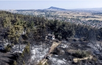&Sigma;&upsilon;&gamma;&kappa;&lambda;&omicron;&nu;&iota;&sigma;&tau;&iota;&kappa;ό &beta;ί&nu;&tau;&epsilon;&omicron; &alpha;&pi;ό &tau;&eta; &phi;&omega;&tau;&iota;ά &sigma;&tau;&eta; &Lambda;&eta;&tau;ή: &Alpha;&sigma;&tau;&upsilon;&nu;&omicron;&mu;&iota;&kappa;&omicron;ί &tau;&eta;&sigmaf; &Omicron;&Pi;&Kappa;&Epsilon; &alpha;&pi;&omicron;&mu;&alpha;&kappa;&rho;ύ&nu;&omicron;&upsilon;&nu; &alpha;&pi;ό &tau;&iota;&sigmaf; &sigma;&tau;ά&chi;&tau;&epsilon;&sigmaf; &tau;&rho;&alpha;&upsilon;&mu;&alpha;&tau;&iota;&sigma;&mu;έ&nu;&omicron; &sigma;&kappa;ύ&lambda;&omicron;
