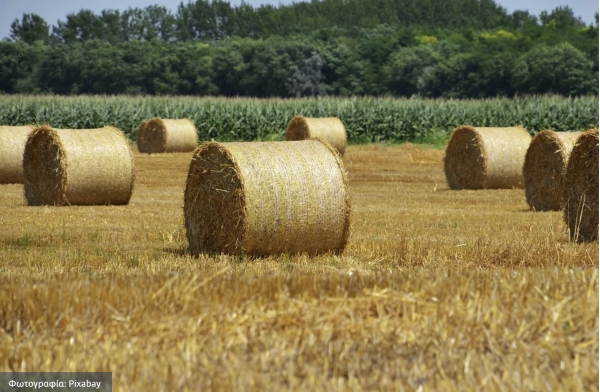 &mu;&pi;ά&lambda;&epsilon;&sigmaf; ά&chi;&upsilon;&rho;&omicron;