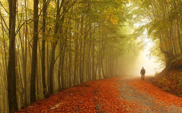 &quot;ΠΑΛΙΟ ΦΘΙΝΟΠΩΡΟ&quot; Δημήτρη Χορόσκελη