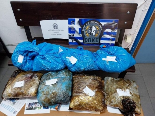 &Delta;.&Beta;ό&lambda;&beta;&eta;&sigmaf; &Nu;&alpha;&rho;&kappa;&omega;&tau;&iota;&kappa;ά