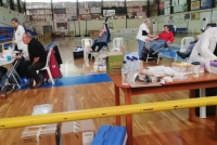 &Epsilon;&theta;&epsilon;&lambda;&omicron;&nu;&tau;&iota;&kappa;ή &alpha;&iota;&mu;&omicron;&delta;&omicron;&sigma;ί&alpha;