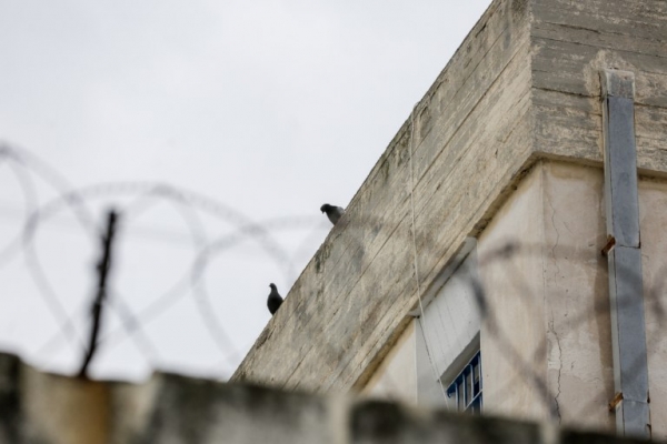&Lambda;&alpha;&gamma;&kappa;&alpha;&delta;ά&sigmaf;: &Sigma;&tau;&eta; &phi;&upsilon;&lambda;&alpha;&kappa;ή 80&chi;&rho;&omicron;&nu;&omicron;&sigmaf;