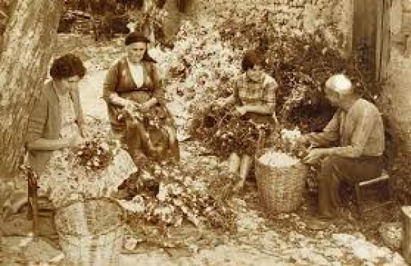 &Pi;&Alpha;&Lambda;&Iota;&Omicron; &Lambda;&Alpha;&Gamma;&Kappa;&Alpha;&Delta;&Alpha;