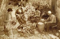 "&Eta; &Sigma;&Eta;&Rho;&Omicron;&Tau;&Rho;&Omicron;&Phi;&Iota;&Alpha; &Sigma;&Tau;&Omicron;&Nu; &Pi;&Alpha;&Lambda;&Iota;&Omicron; &Lambda;&Alpha;&Gamma;&Kappa;&Alpha;&Delta;&Alpha;" &tau;&omicron;&upsilon; &Delta;&eta;&mu;ή&tau;&rho;&eta; &Chi;&omicron;&rho;ό&sigma;&kappa;&epsilon;&lambda;&eta;