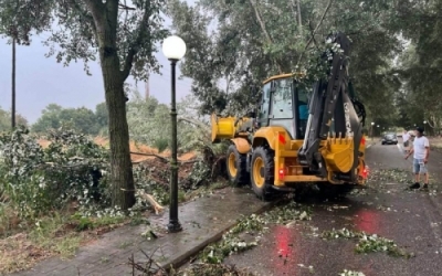 Έντονο μπουρίνι στην περιοχή Λαγκαδά προκάλεσε πτώσεις κλαδιών και προβλήματα σε σημεία του οδικού δικτύου