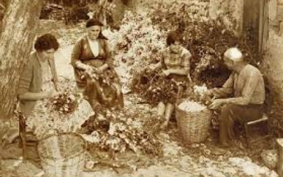 "Η ΣΗΡΟΤΡΟΦΙΑ ΣΤΟΝ ΠΑΛΙΟ ΛΑΓΚΑΔΑ" του Δημήτρη Χορόσκελη